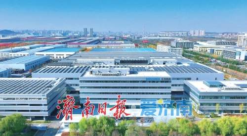 以项目为基,筑起城市发展新高度