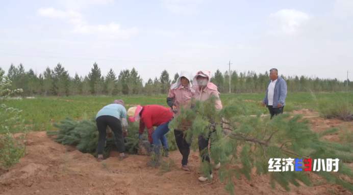 沙漠变绿地、变耕地 我国率先实现土地退化“零增长”