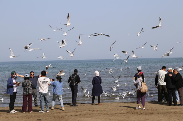 国庆假期 环博斯腾湖公路成旅游热点