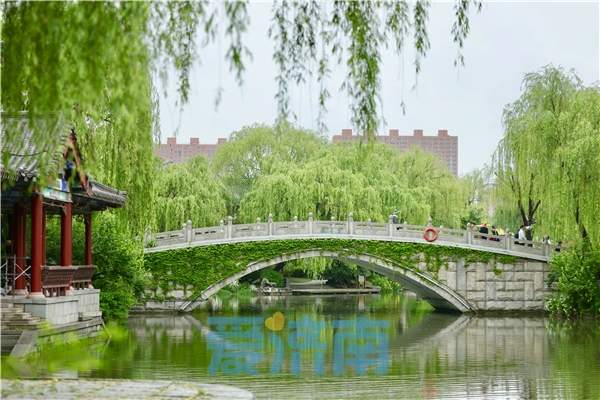 “泉”在济南过五一