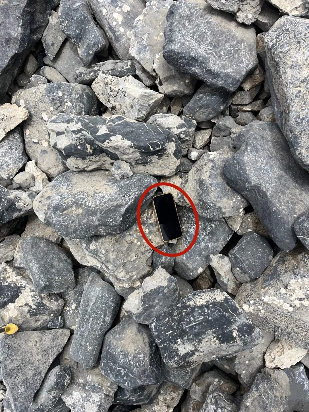 缘分！女子新疆丢手机 3年后被人跨越5000公里送还