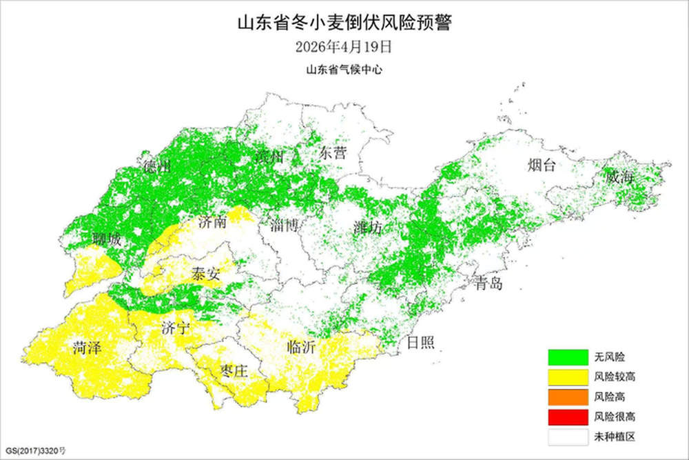 提前做好防风加固！山东省发布设施农业风灾和冬小麦倒伏风险预警