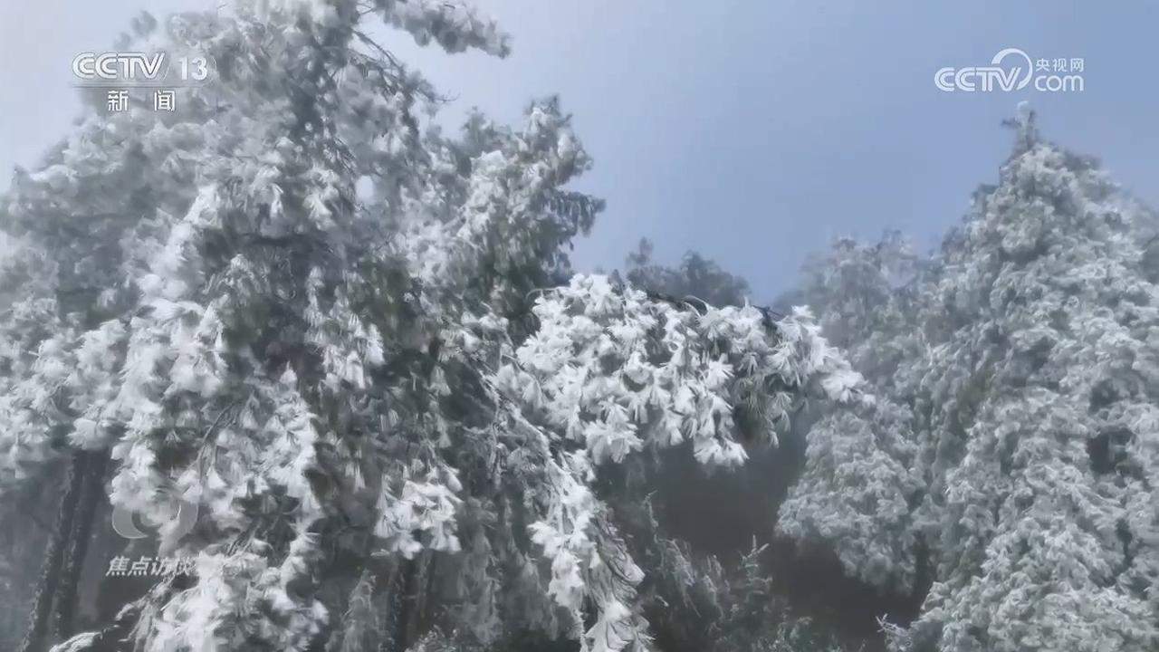 坚守“菜篮子”“暖屋子” 寒潮下的民生保障暖人心