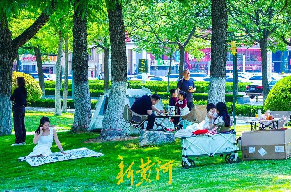 奥体“森”呼吸 草坪“躺”着玩 济南奥体大草坪成休闲新热门