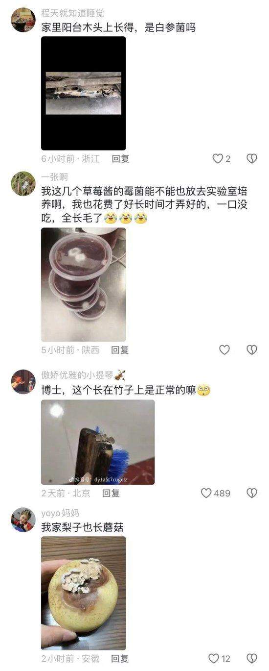 长蘑菇的苹果意外成网红,专家:这菌子能吃!