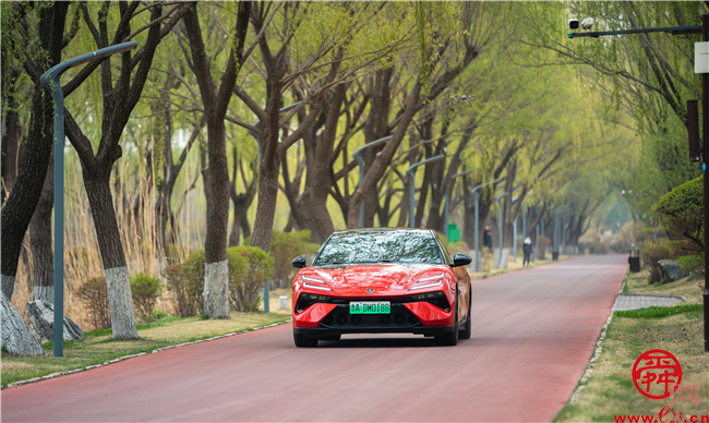 经十西路汽车产业带迎春开市新车型亮相玉清湖街道引消费新潮