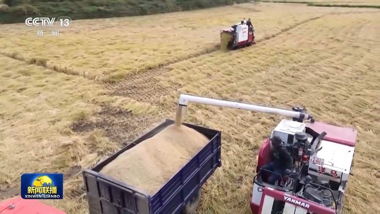 新思想引领新征程丨绘就乡村全面振兴壮美画卷