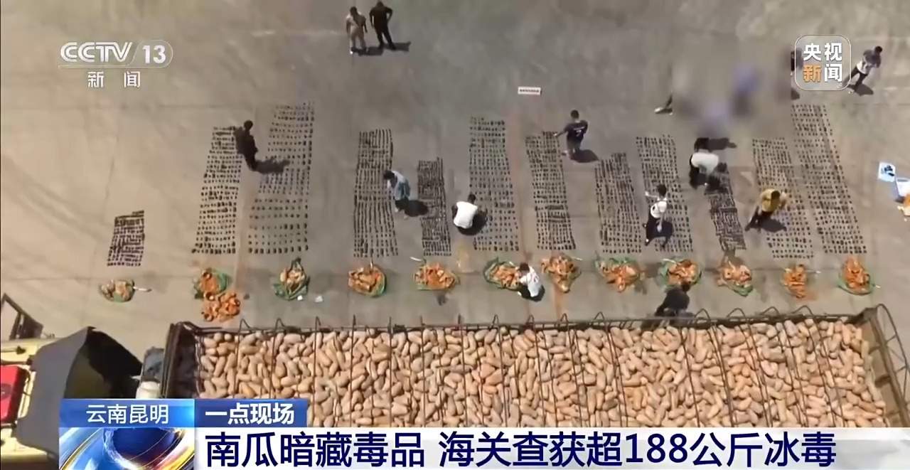 南瓜暗藏毒品 海关查获超188公斤冰毒