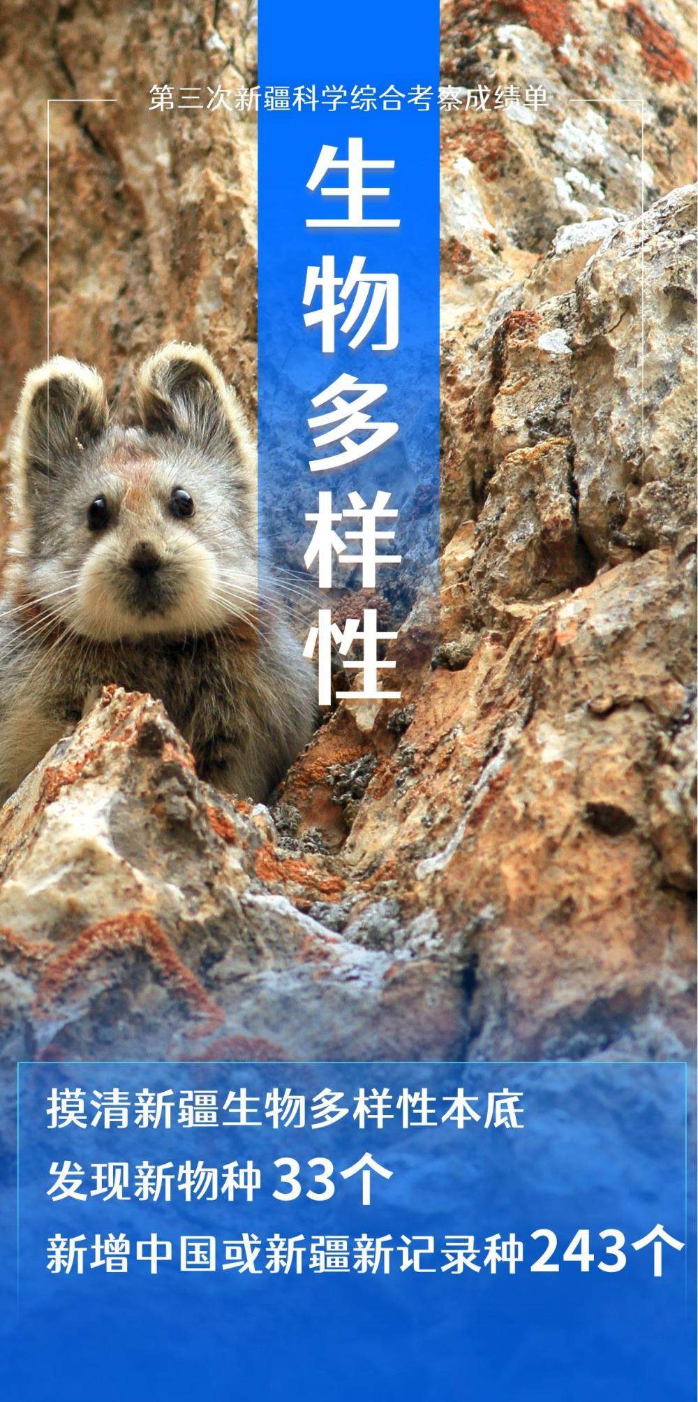 海报｜“数”览五年新疆科考有哪些新发现