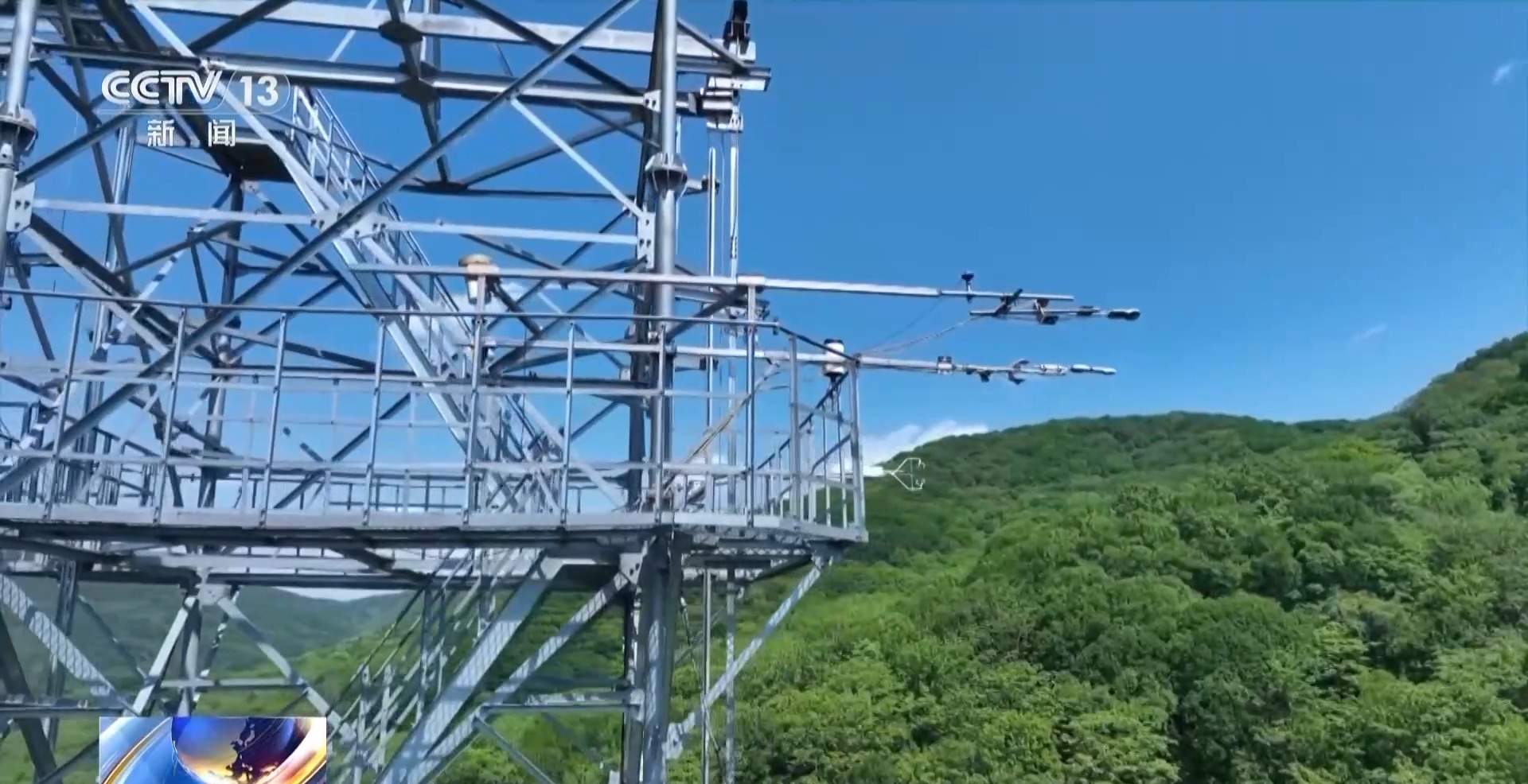 每片叶子都能查！三座巨塔就能监测整片森林