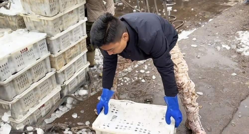 山东正式解除休渔期,鱼虾蟹类求购量大,海鲜电商:有多少收多少,不愁卖