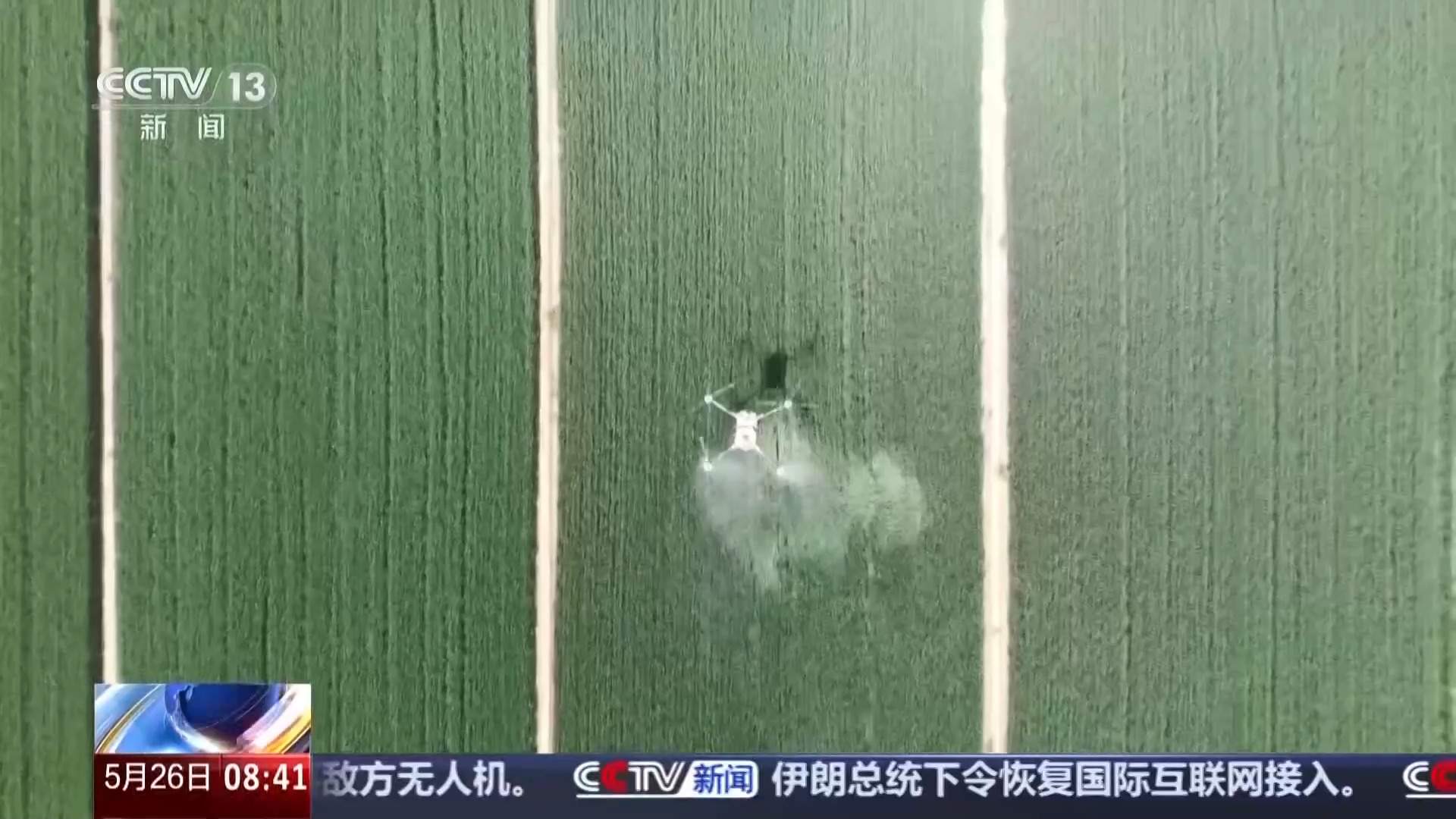 视频丨麦收时节遇降雨 影响范围有多大？专家解读