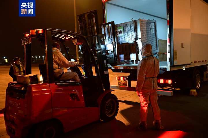 “晓晓”“蕾蕾”入住中国大熊猫保护研究中心雅安基地