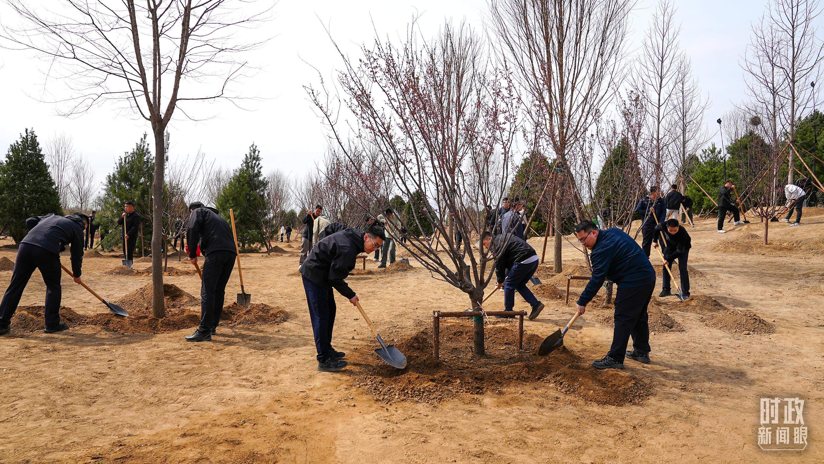 时政新闻眼丨在首都义务植树活动现场，习近平强调这件利国利民的大事