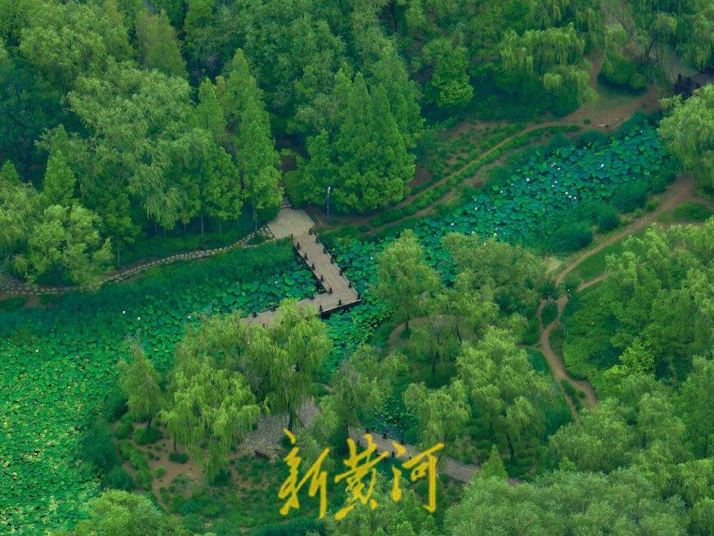 雨后济南森林公园满眼翠绿惹人醉