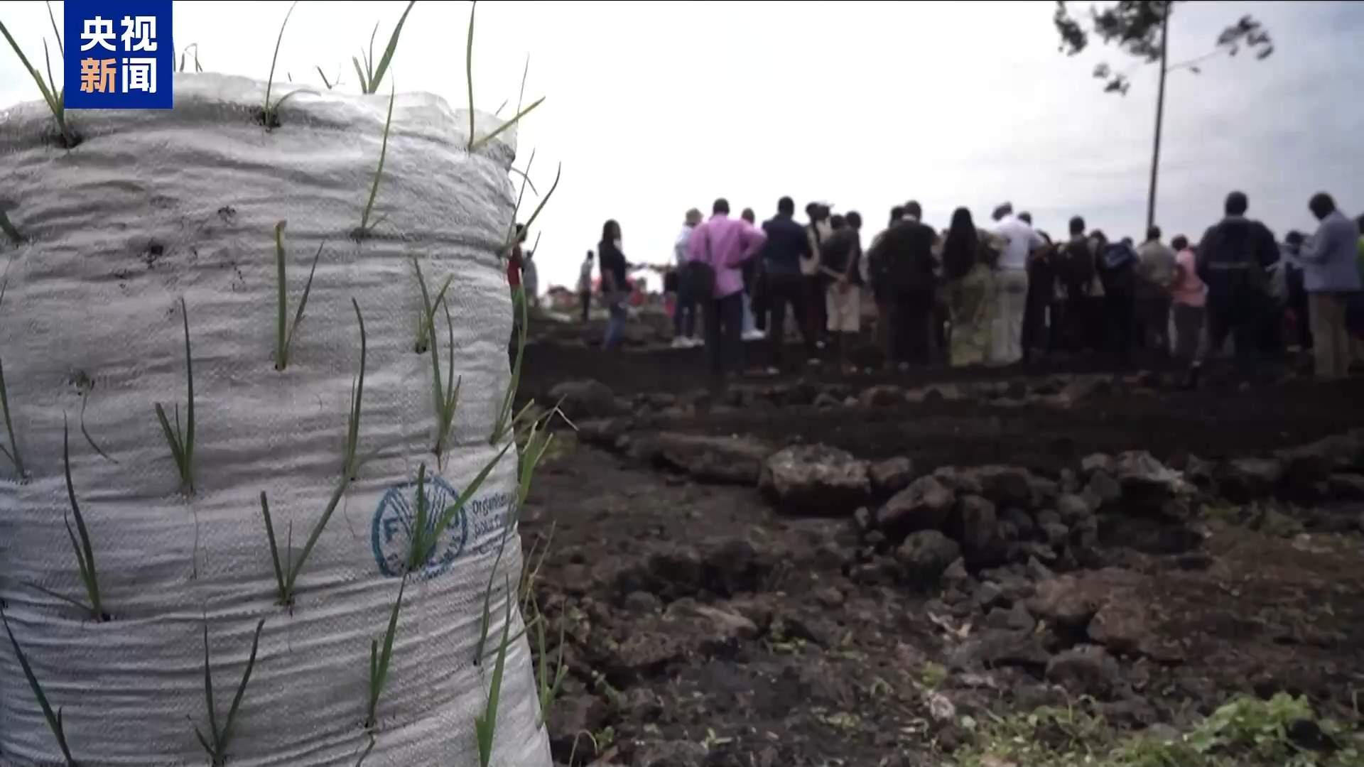 连续6年增长 全球近3亿人面临严重粮食不安全问题