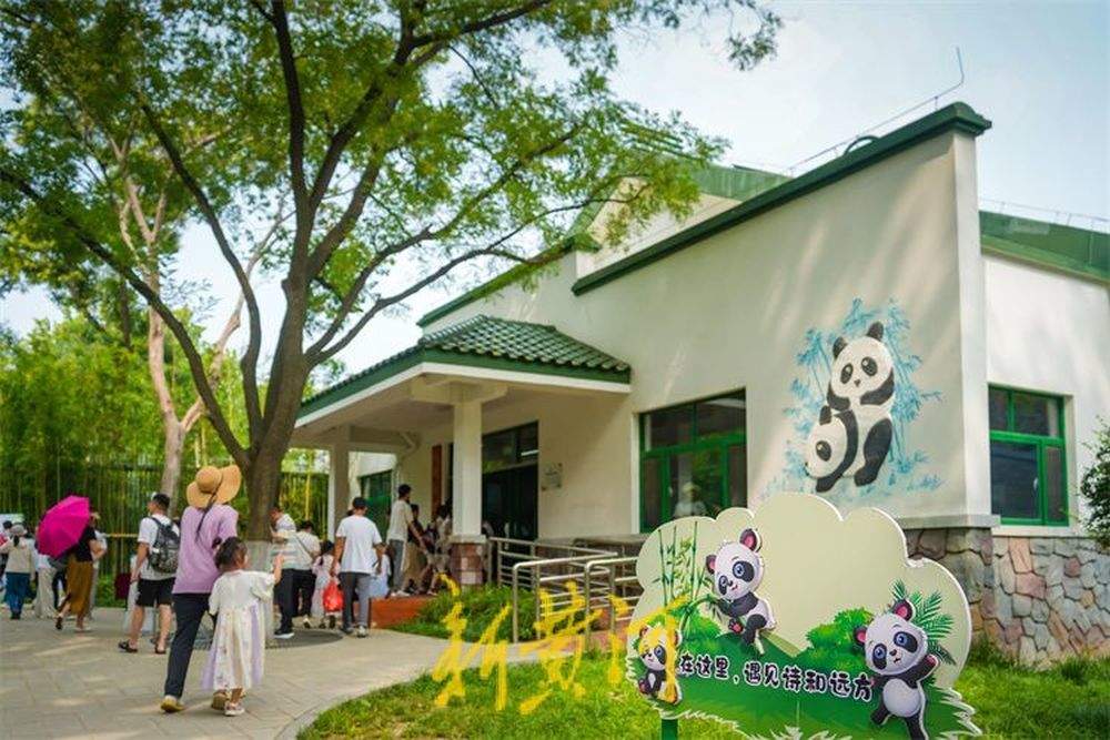 “华奥”17岁啦！游人围观大熊猫品尝生日大餐