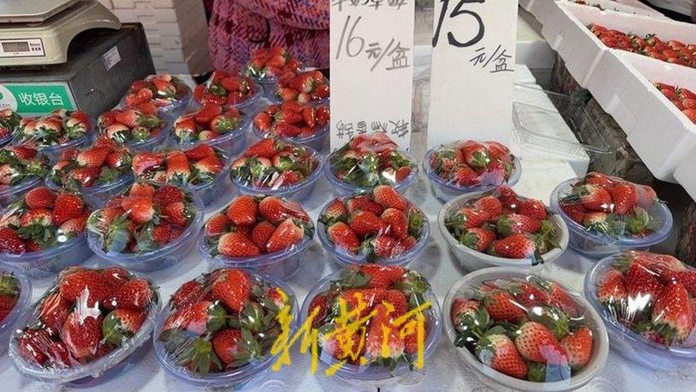 一斤草莓二两盆？盆重超标隐形加价，济南相关部门：已超允许计量偏差范围