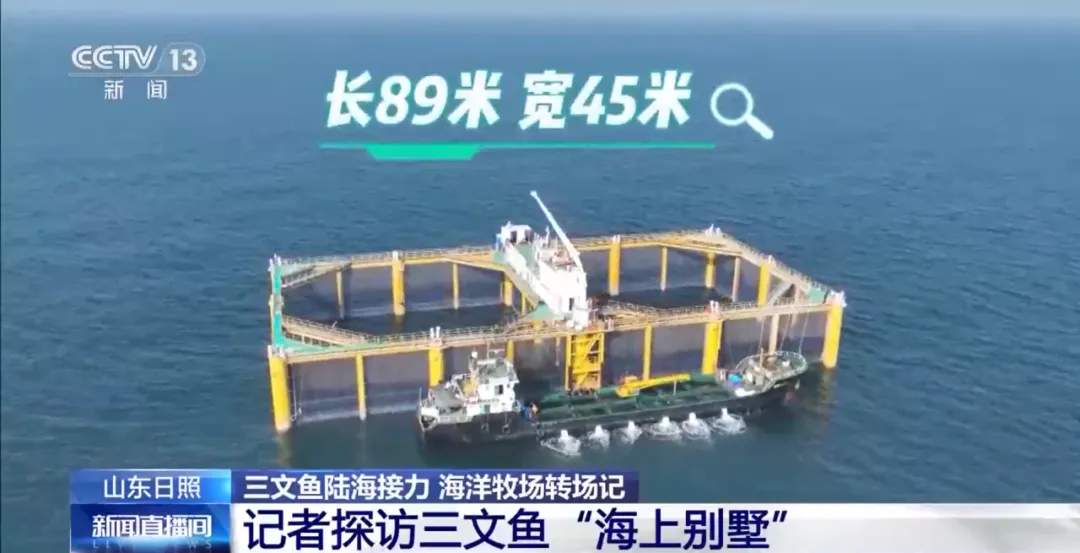 三文鱼的价格打下来了？追更《海洋牧场转场记》