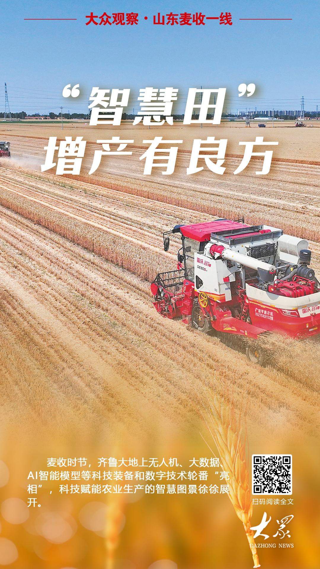 大众观察·山东麦收一线｜“智慧田”增产有良方