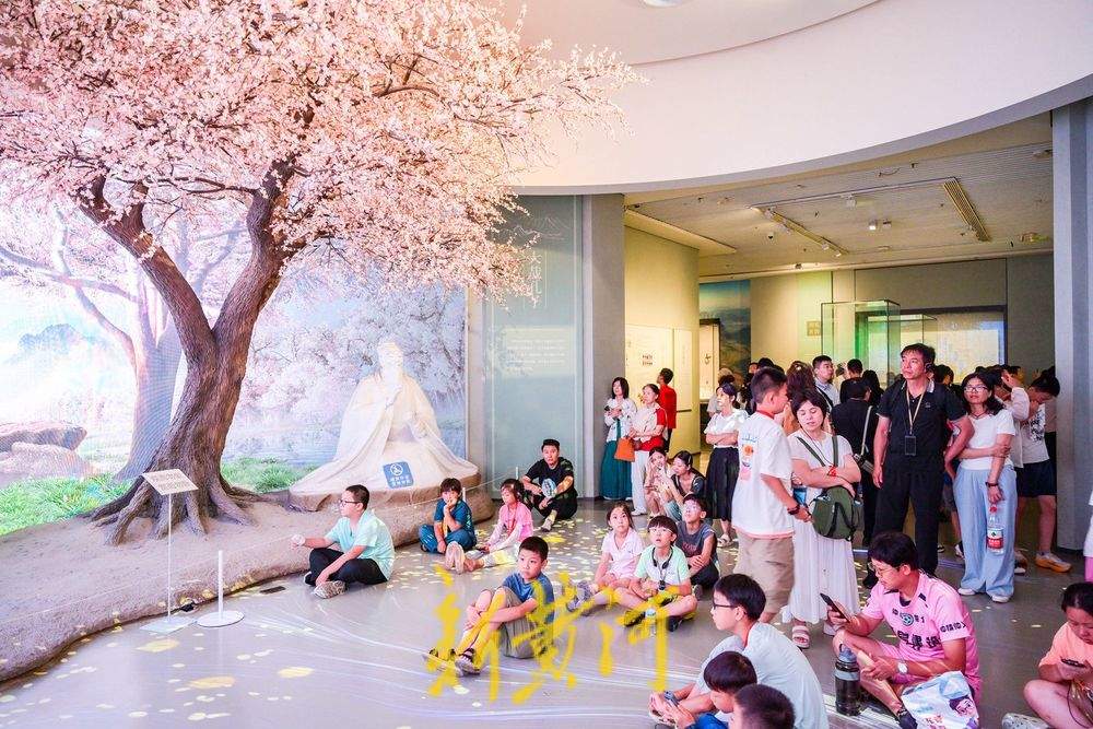 一年四季 泉在济南丨暑假开启，来山东博物馆享文化大餐
