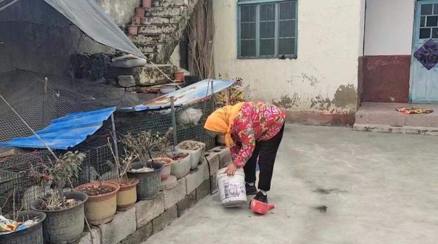 山东村晚“网红”大妈：玉米地里独唱的人走到舞台中央