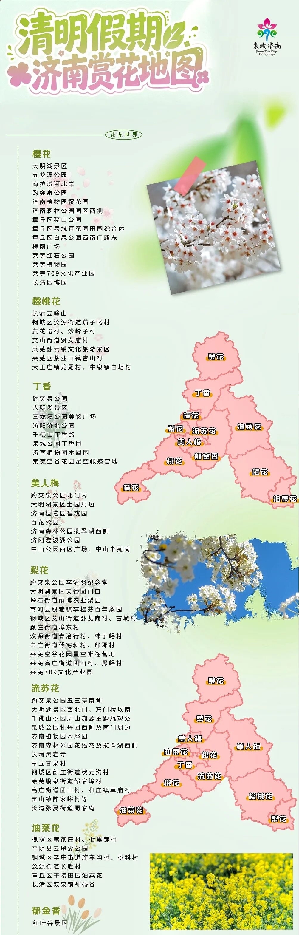 收好!“赏花地图+活动清单”带你解锁泉城春日美好