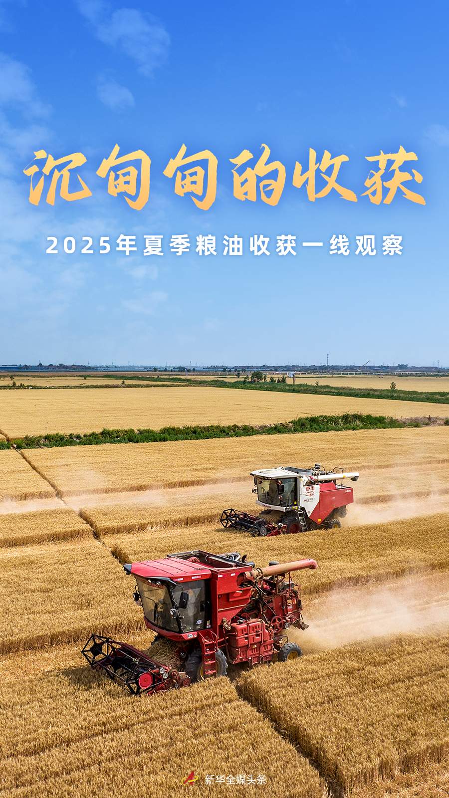 沉甸甸的收获——2025年夏季粮油收获一线观察