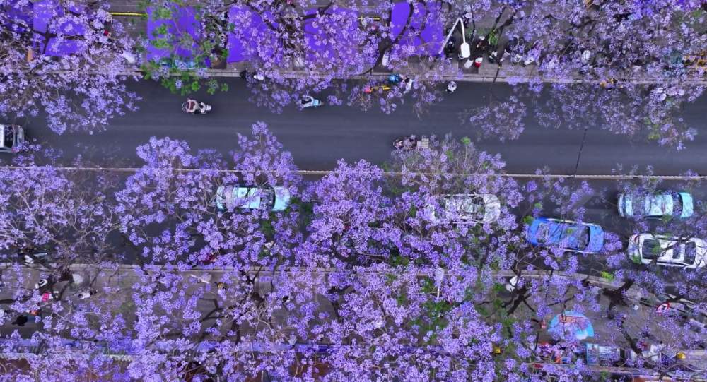 火热而有序 各地多措并举护文明安全旅游