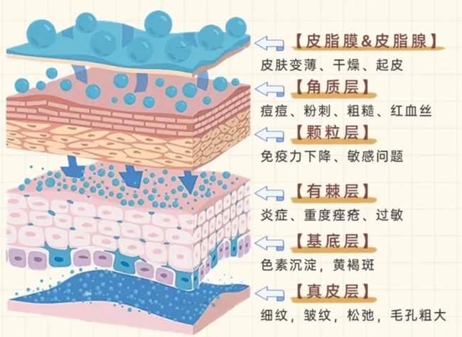 祛痘别只消表面炎症！海峡张光泽研创痘全净：分型分阶，先治痘再重建皮肤屏障