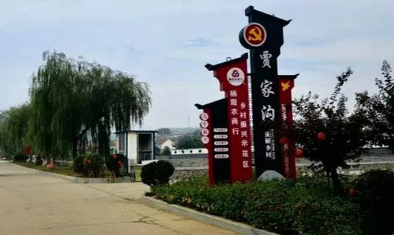 村里家底厚起来，农民钱袋鼓起来，山东实施村集体和农民收入“双增计划”