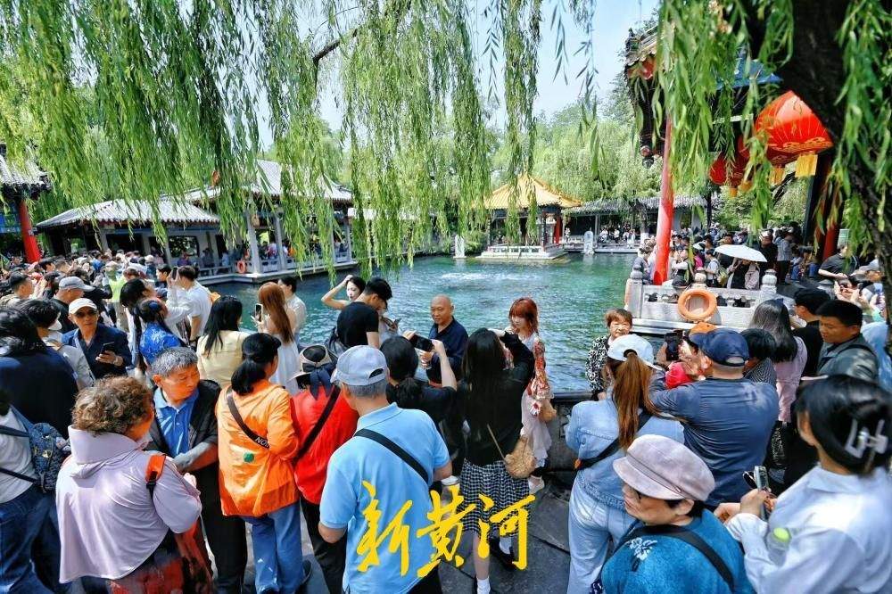 初夏泉韵浓，趵突泉水位迎来“五连涨”