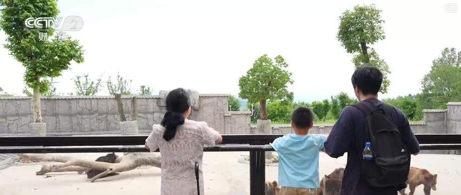 高铁赋能、场景焕新:文旅消费新活力加速释放