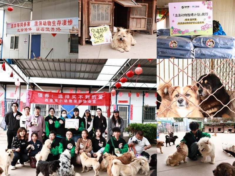 流浪动物救助的“毛细血管”：益禾堂五城六站公益行动纪实