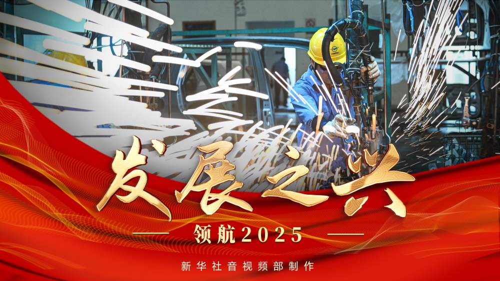 领航2025｜发展之兴