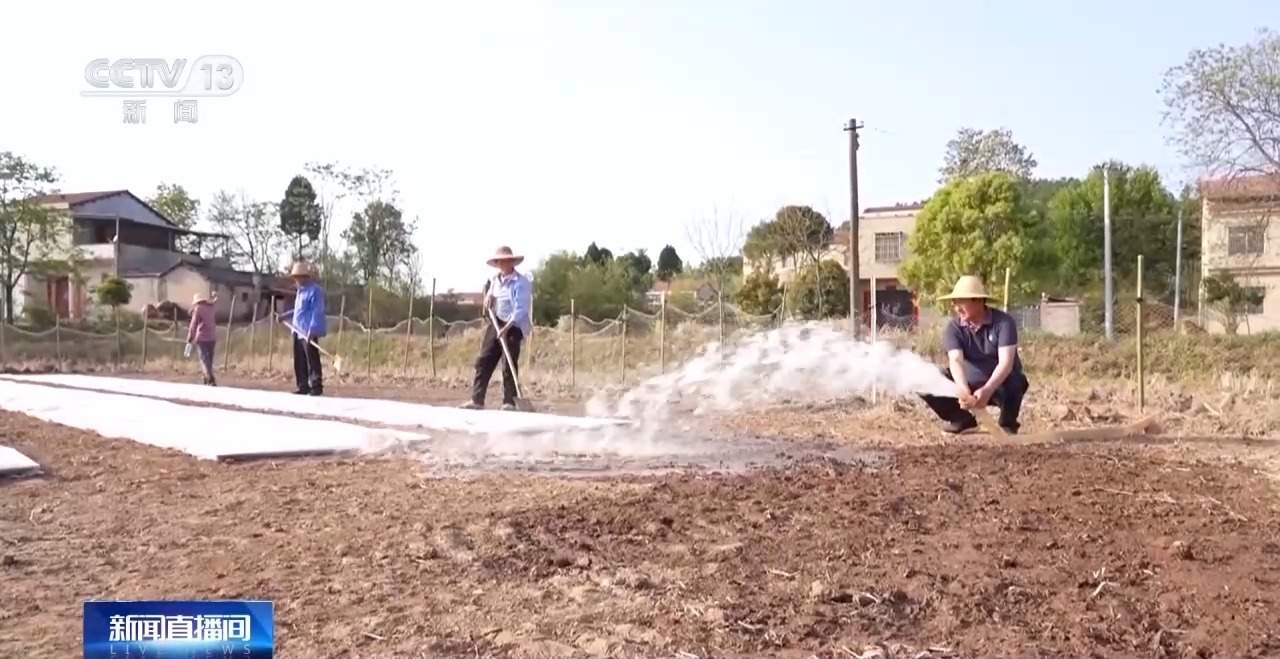 田间海上春耕忙 智能设备描绘出一幅幅“数字春耕图”