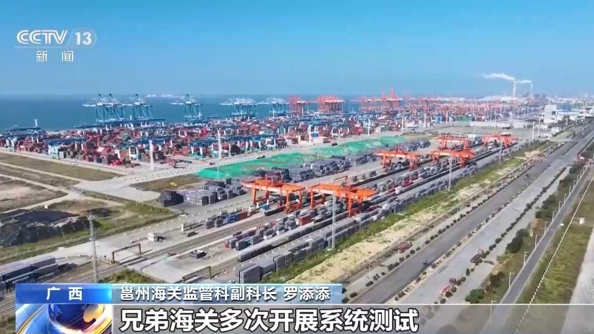 运抵直通、钢铁驼队、空中丝路……新举措推动西部大开发形成新格局