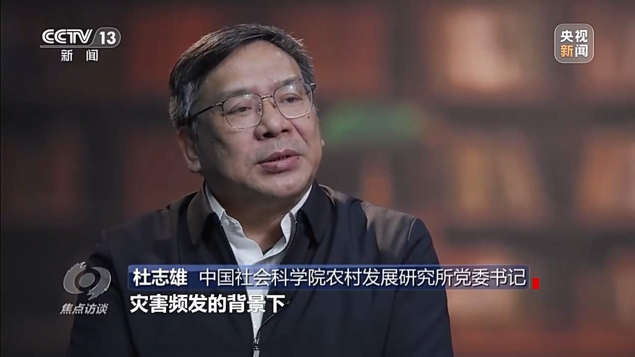 从抗旱到抢收 解读粮食增产背后的“密码”