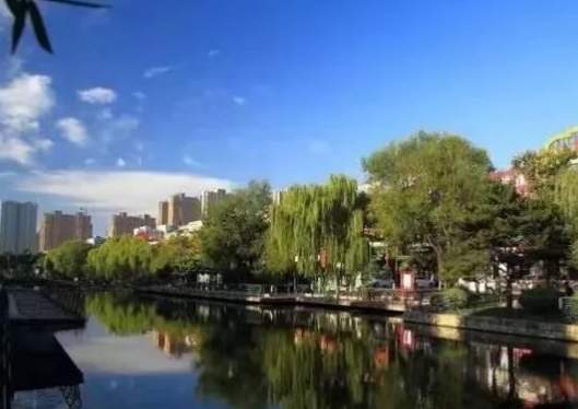 济南正在力推的“科技副总”，背后的人才大布局