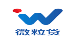 2025正规借贷平台效率榜，看看哪家更适合你？