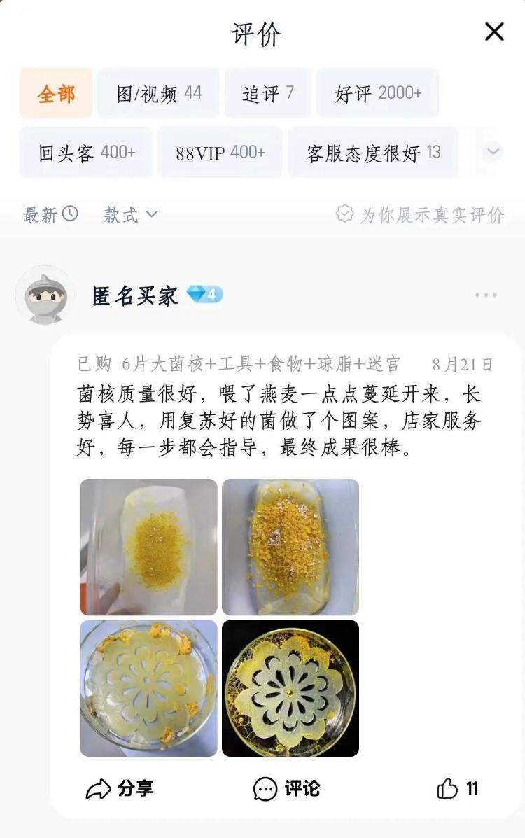 不养蚕宝宝，养黏菌！现在小学生的宠物越来越逆天