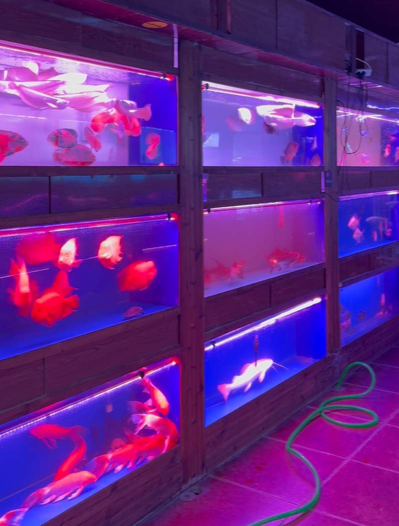 运营21年的济南柏宁水族广场将关停？商户在找新址，管理方说待定
