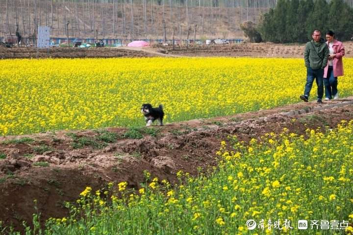 上榜前十！济南“目的地效应”持续释放，近50项文旅活动等你来