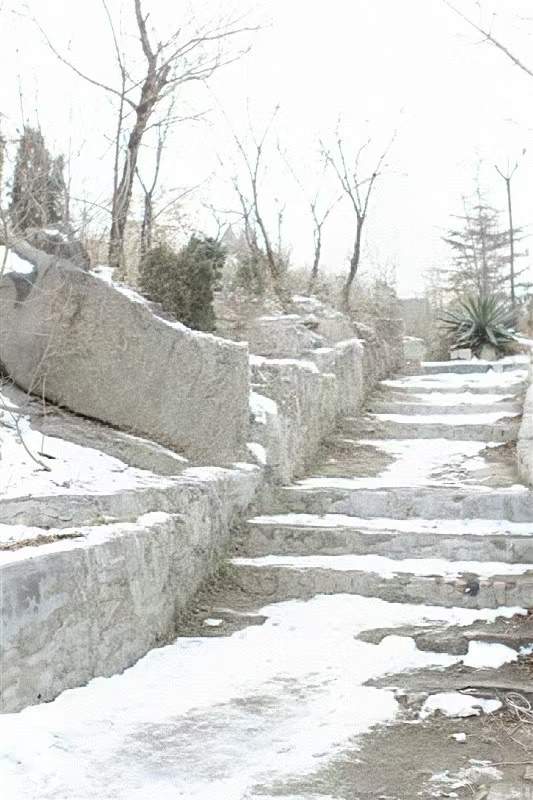 济南肖像丨毕书华的“药山路”