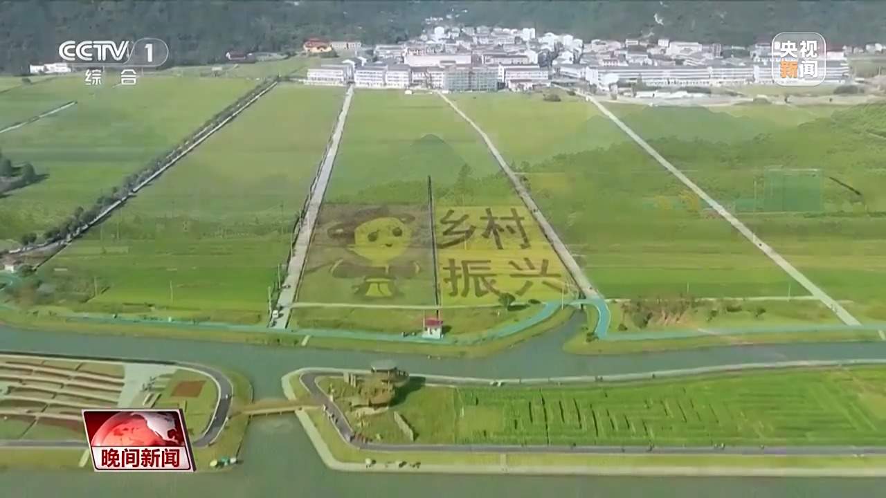 看见美丽中国丨20年“灰山”变“青山” 老乡村“长”出新业态