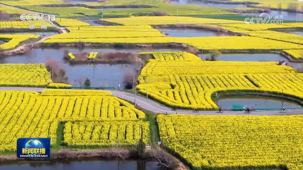 “春日经济”活力旺 文旅消费持续火热