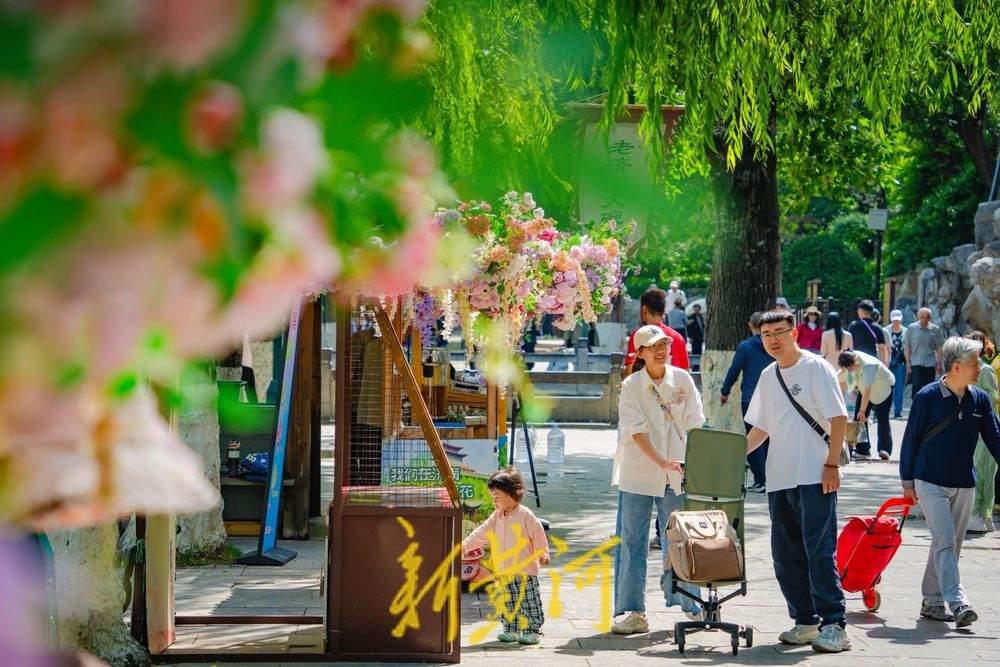 一年四季 泉在济南｜黑虎泉水位小幅回升 游人泉畔享清凉