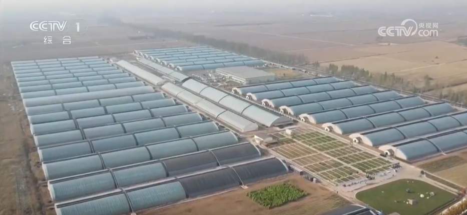 瓜果飘香好“丰”景 特色产业绘就乡村振兴“繁荣图”