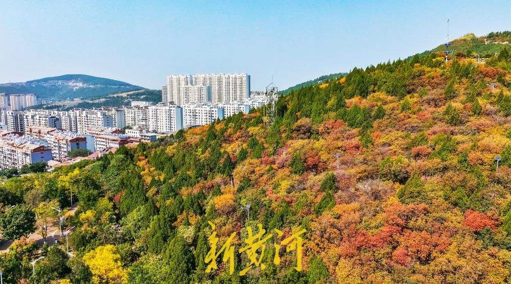 济南郎茂山红叶漫山，秋意正浓