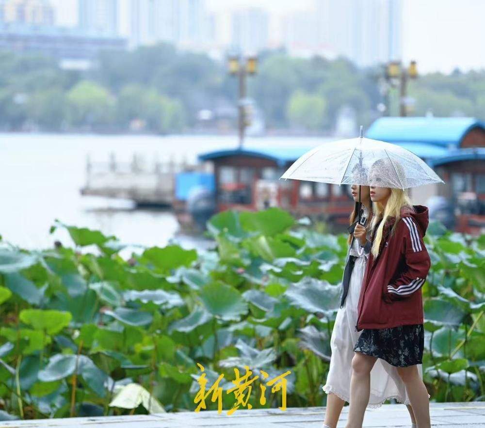 雨润明湖游人至，济南泉水游热度高涨
